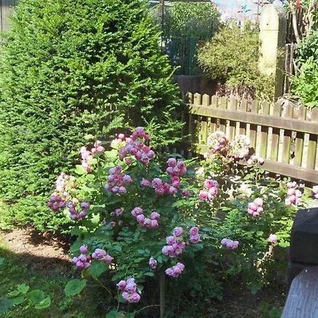 Große Prinzessin - Mit Saunanutzung