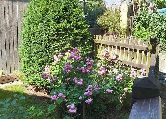 Große Prinzessin - Mit Saunanutzung